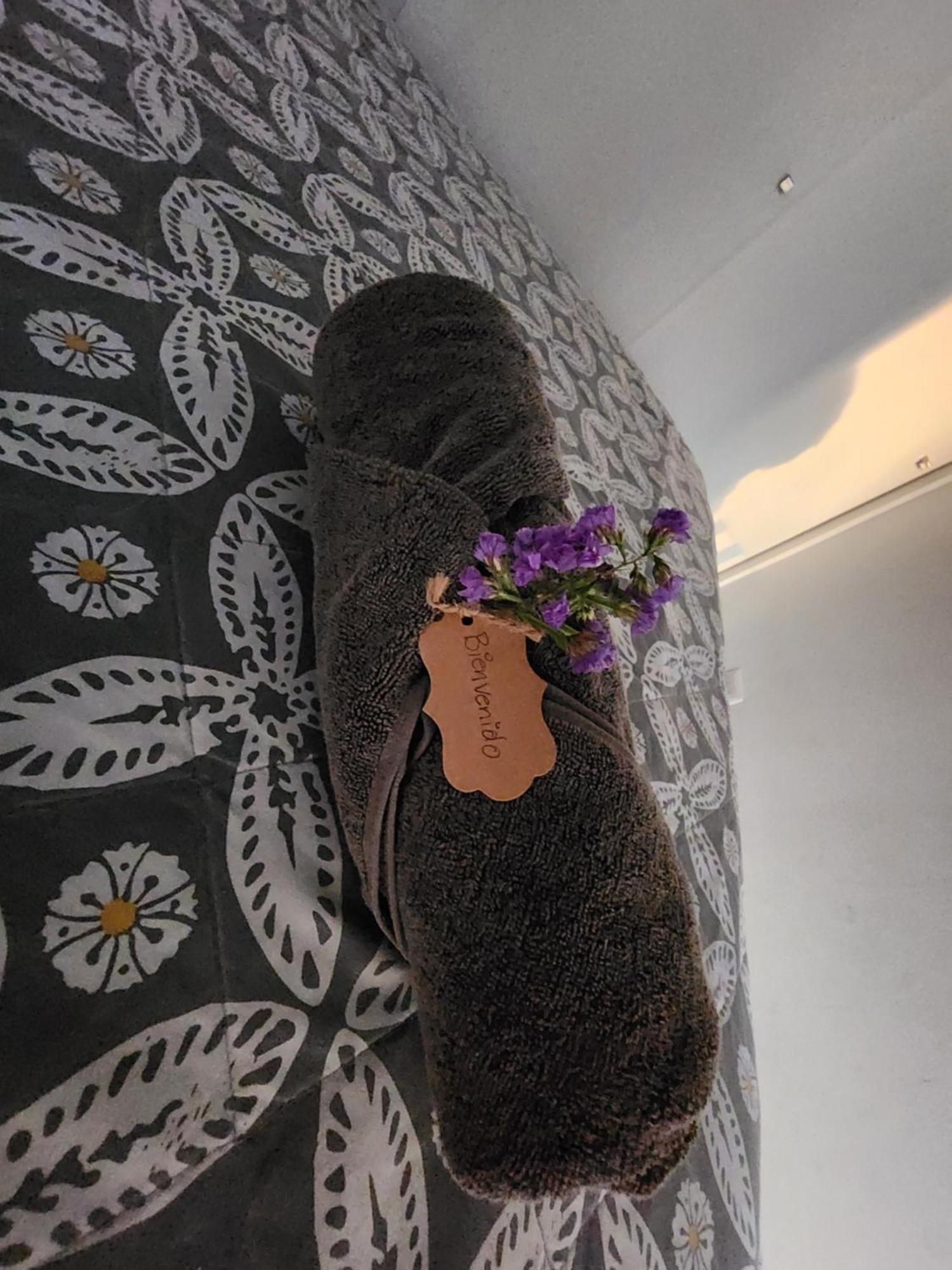 Apartamento Granat, Dentro De La Zona Cultural Y Gastronomica, Canton Exposicion Città del Guatemala Esterno foto